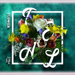 Teal Flower avatar
