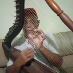 Dando gracias a Dios por todo  avatar