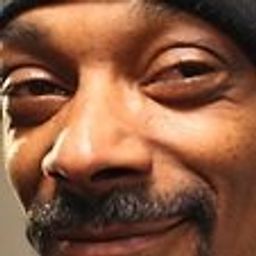criptodogg avatar