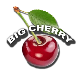 BigCherryArcade avatar