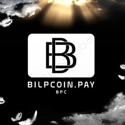 bilpcoin.pay avatar