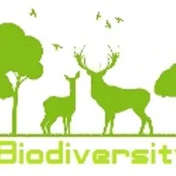 Biodiversity avatar