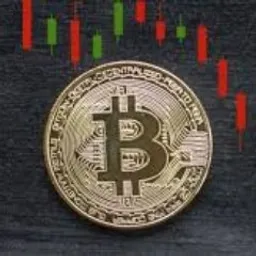 BitCast avatar