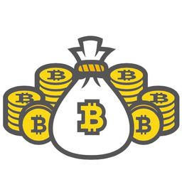 Crypto Warrior