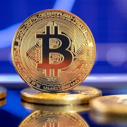 bitcoin1m avatar