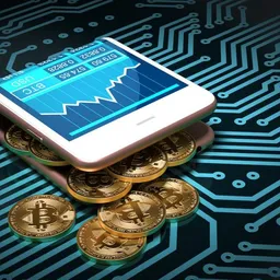 Bitcoin Holder avatar