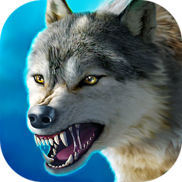 bitcoinwolf avatar