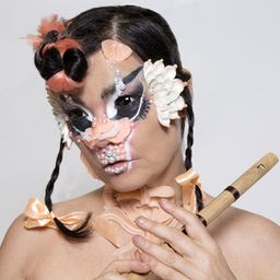 Bjork Archives