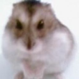 blaskun