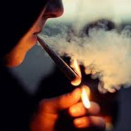 blazeit avatar