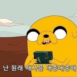 감자