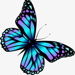 BlueButterfly avatar
