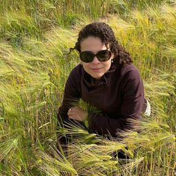 Lua
