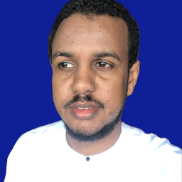 Mahdi Bolow avatar