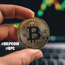 bpcvoter2 avatar