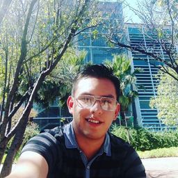 Brandon Mendoza avatar