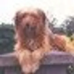 brigzyman avatar