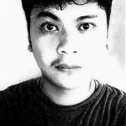 Brendon Shane avatar