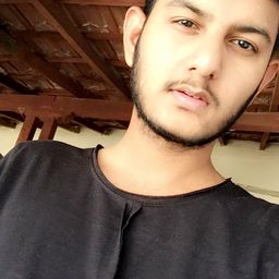 Brijraj Gadhavi avatar