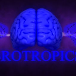 brotropics avatar