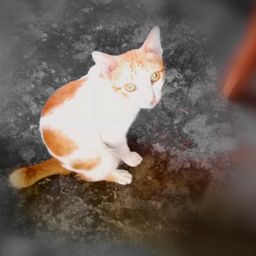 budoydoy avatar