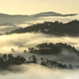 Bukit Halimun avatar