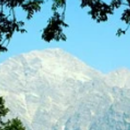 Bukit Kapur avatar