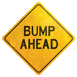 Bumper avatar