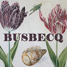 Busbecq avatar