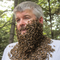 bushkill avatar