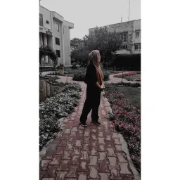 @bymashal avatar