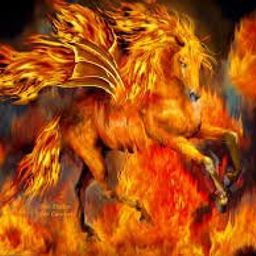 Caballo de Fuego  avatar