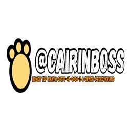 cairinboss avatar