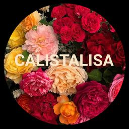 calistalisa