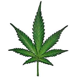 cannabisteem