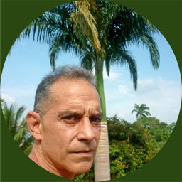 Carlos A. Padrón P. avatar