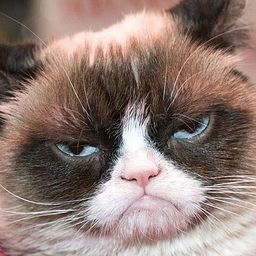 Grumpy avatar
