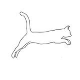 Cat Gio avatar