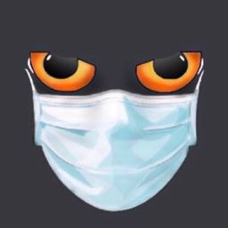 catinthewindow avatar