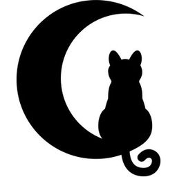 catmoonwarrior avatar
