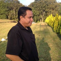 caveroa avatar