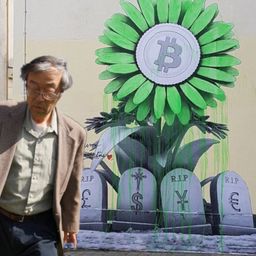 caymancrypto avatar