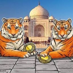 Cryptobeep@najju avatar