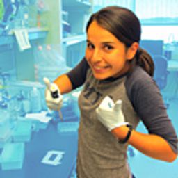 CeraNeh avatar