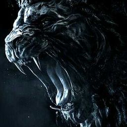 certerus avatar