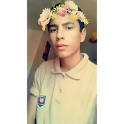 cesarmeneses avatar