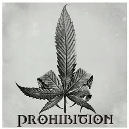 Cheeba4thc avatar