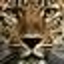 ChefLeopard avatar