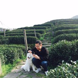 chenli avatar