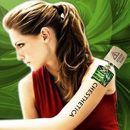 Chesthetica avatar